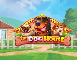 The Dog House